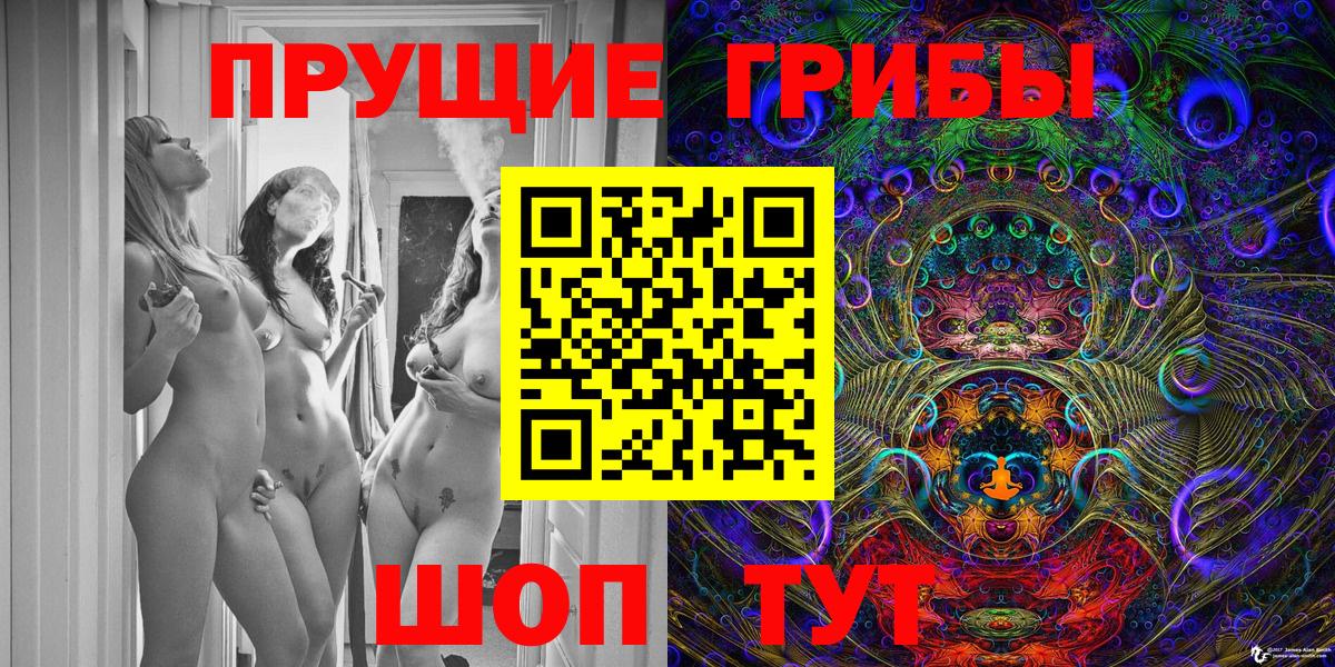 Галлюциногенные грибы GOLDEN TEACHER Черняховск