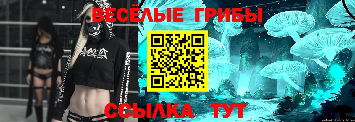 Псилоцибиновые грибы ЛСД  Галлюциногенные грибы GOLDEN TEACHER  Вход с VPN  Черняховск 